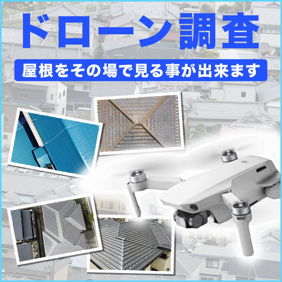 ドローン調査